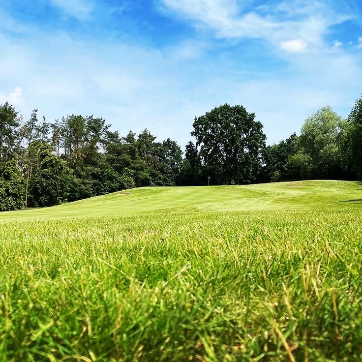 Arnold Palmer Course – Bad Saarow Golf Club