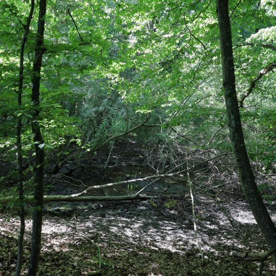 Doline, wassergefüllt u. von Weiden umsäumt Vorderer Wasen
