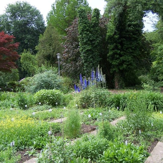 Jardín Botánico de la Universidad Georg August de Göttingen
