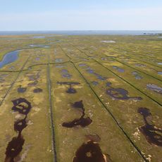 Edwin B. Forsythe National Wildlife Refuge