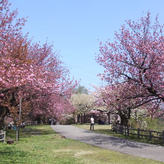 Château de Moriyamajo