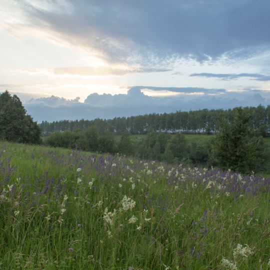 Вал у «12 ключей»