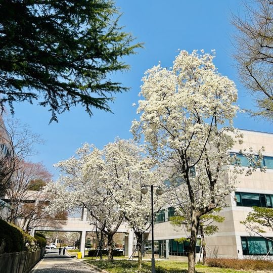 Pohang University of Science and Technology