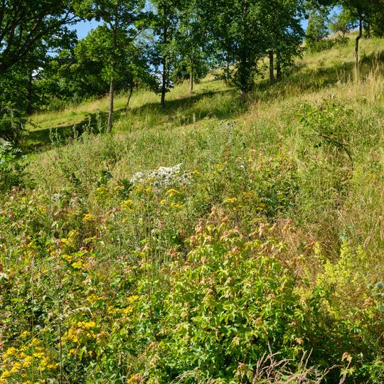 Jalovcové stráně nad Vrbičkou
