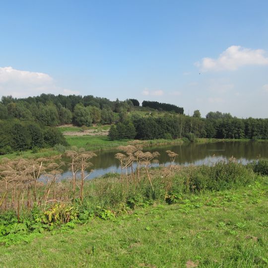 Hoge Bergse Bos