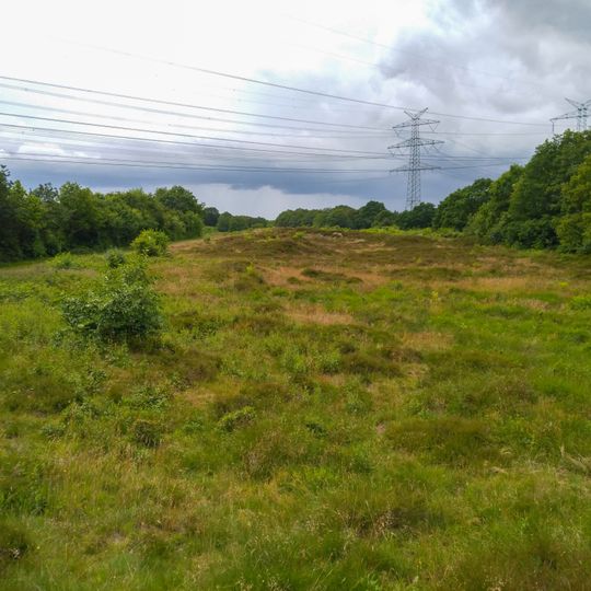 Binnendünen- und Moorlandschaft im Sorgetal
