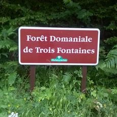 Forêt de Trois Fontaines
