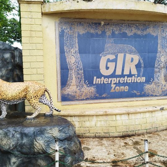 Gir Interpretation Zone