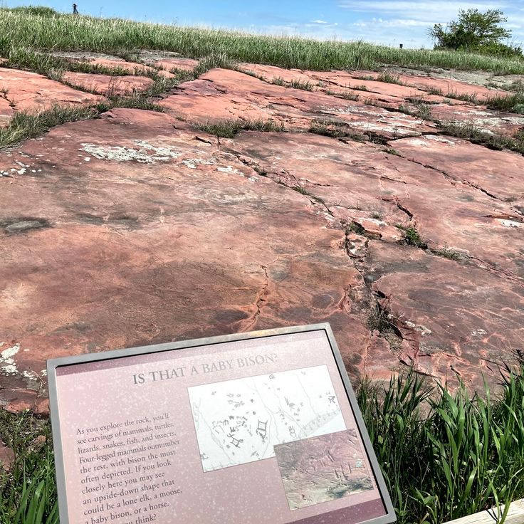 Jeffers Petroglyphen