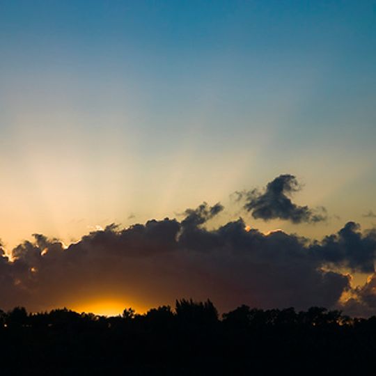 Reserva Natural do Paul de Arzila