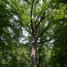 Leśnicki Park in Wrocław