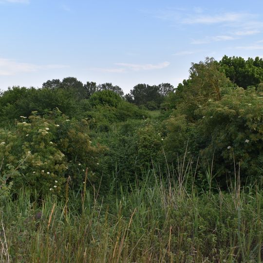 Bacini di Jolanda di Savoia