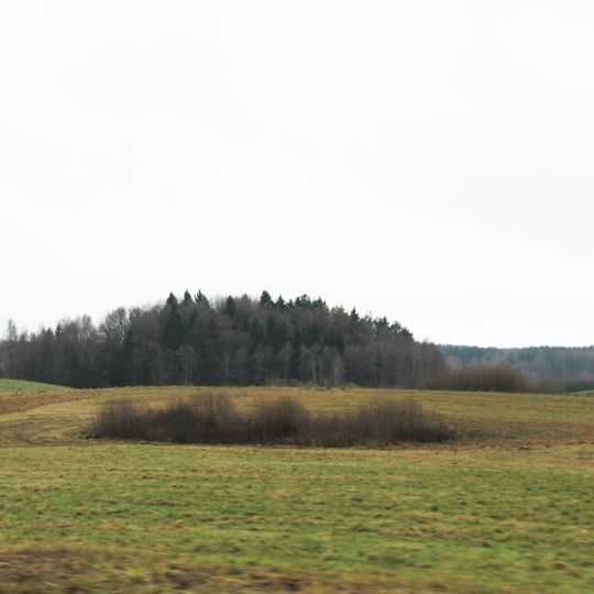 Pūčkorių 1 hillfort