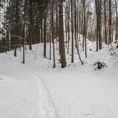 Burgrest Alt-Heiligenberg