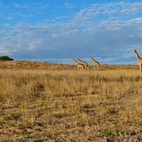 distretto di Kgalagadi