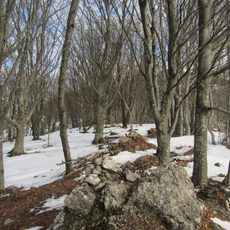 Monte Carmo - Monte Settepani