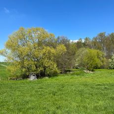 Sandgrubentümpel am Weißbach