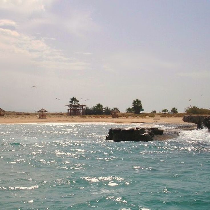 Isla del Conejo (Reserva Natural de las Islas Palm)