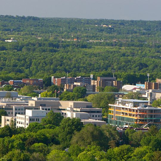 McMaster University
