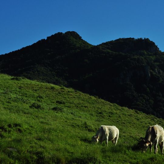 Riserva naturale orientata Monte Altesina