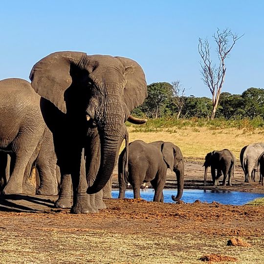 Parc national de Khaudom