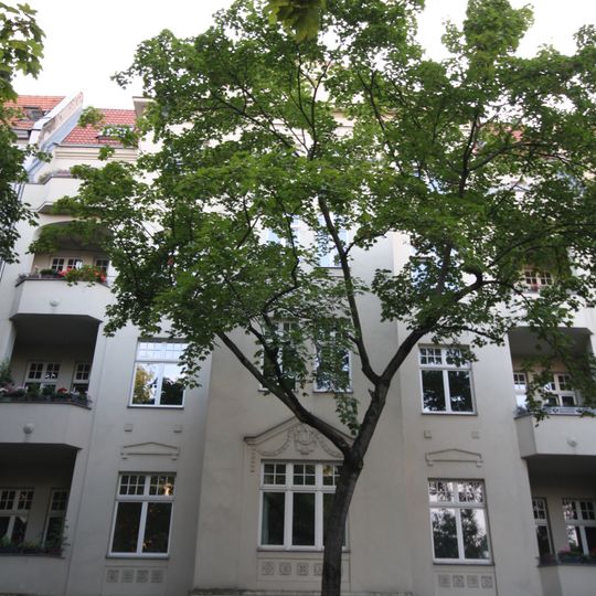 Mietshaus Elberfelder Straße 8