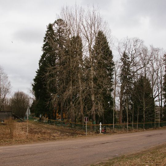 Культовая роща