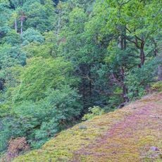 Schwarza-Schlücht-Tal