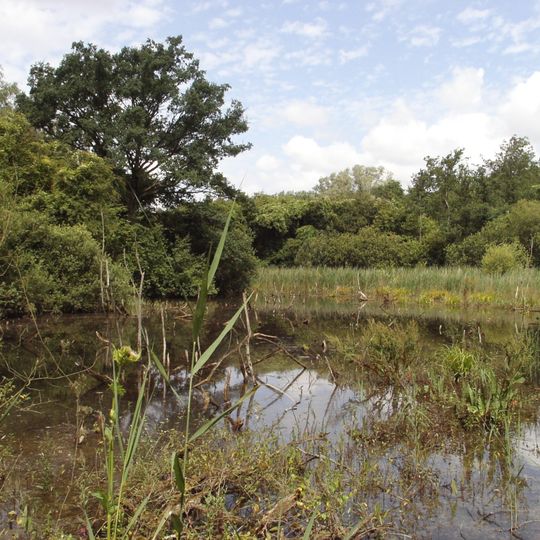Marais De Cambrin, Annequin, Cuinchy Et Festubert