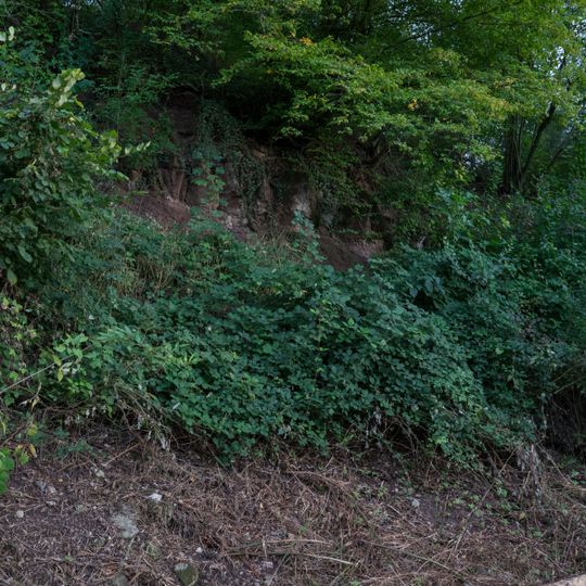 Felsaufschluß, Flurgehölz und Trockenrasen