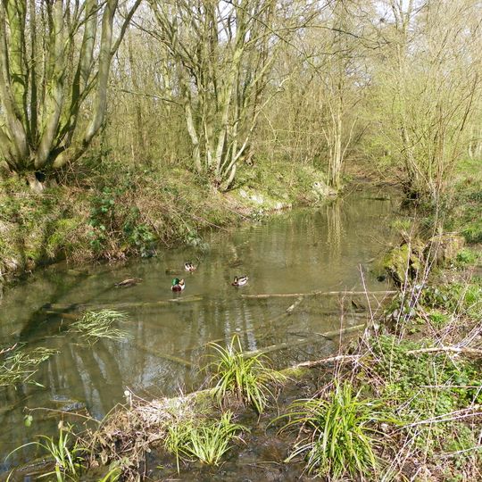 Whomerley Wood moated site