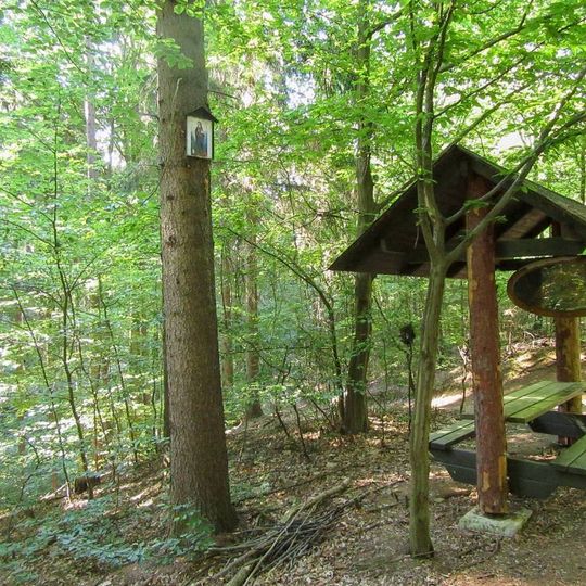 Obrázky v Rudě nad Moravou v lese pod Šošolou