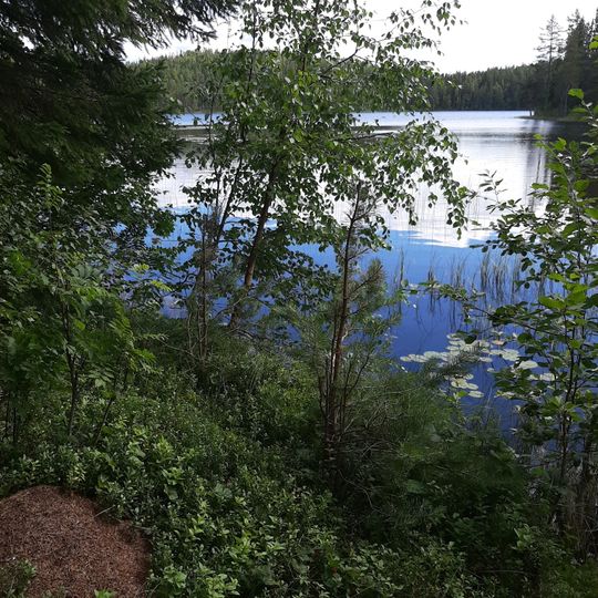 Örasjöbäcken-Storsvedjan