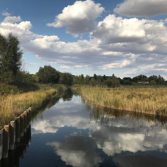 Laguna del Cañizar