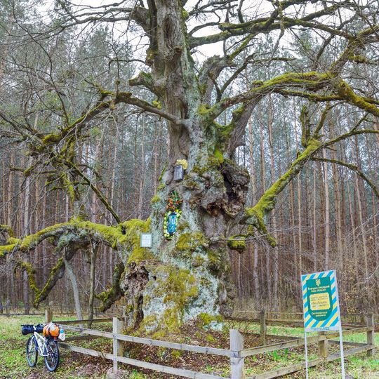 Lypa B. Khmelnytskoho