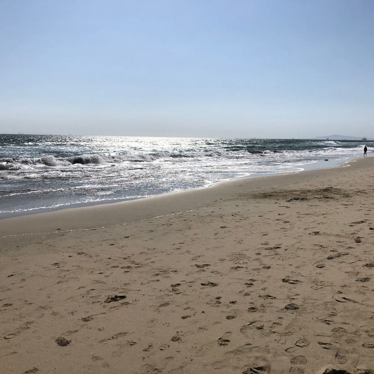 Huntington State Beach