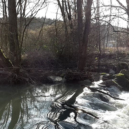 Remsschlinge bei Krähe