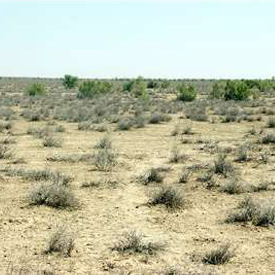 State wildlife sanctuary "Mubarak"