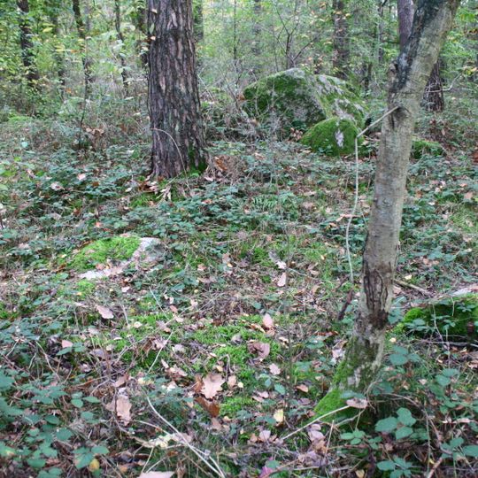 Großsteingrab Steineiche