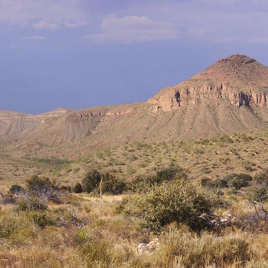 Désert de Chihuahua