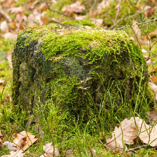 Grenzstein Fürther Stadtwald in Fürth