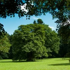 Bělohradská bažantnice