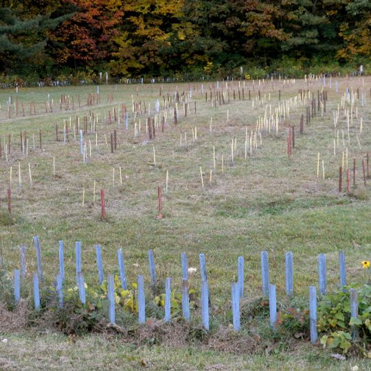 Caughnawaga Indian Village Site
