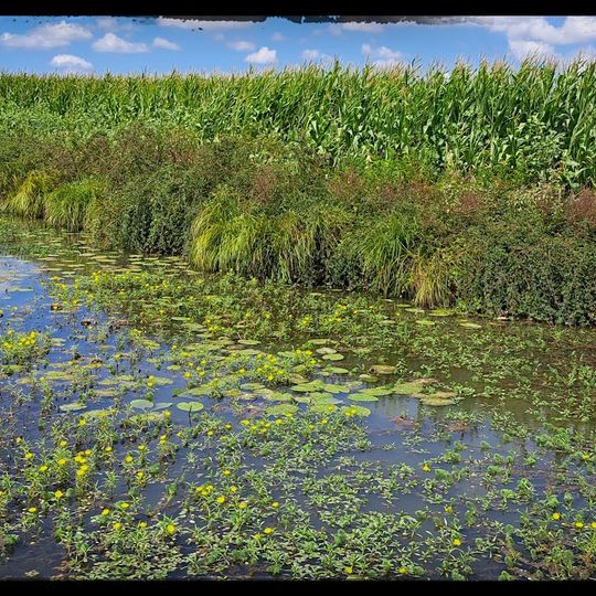 Le Labyrinthe des Barthes