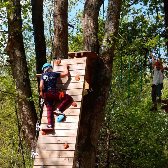 Saumur Forest Aventures