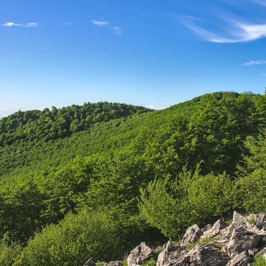 Little Carpathians