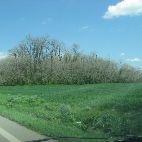 Murphy Mound Archeological Site