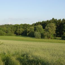 LSG Obermichelbach-Puschendorf-Tuchenbach