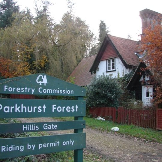 Parkhurst Forest