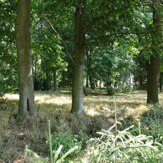 Palace park in Luszkówko